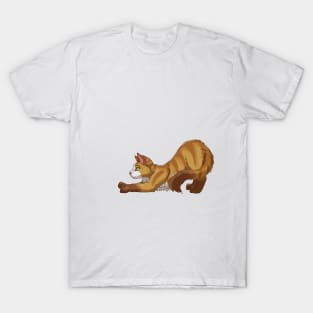 Tabby Somali Cat Stretching Yoga Cream T-Shirt